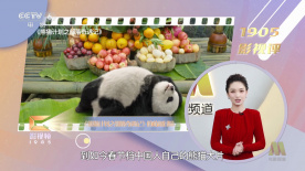 国产网红在线